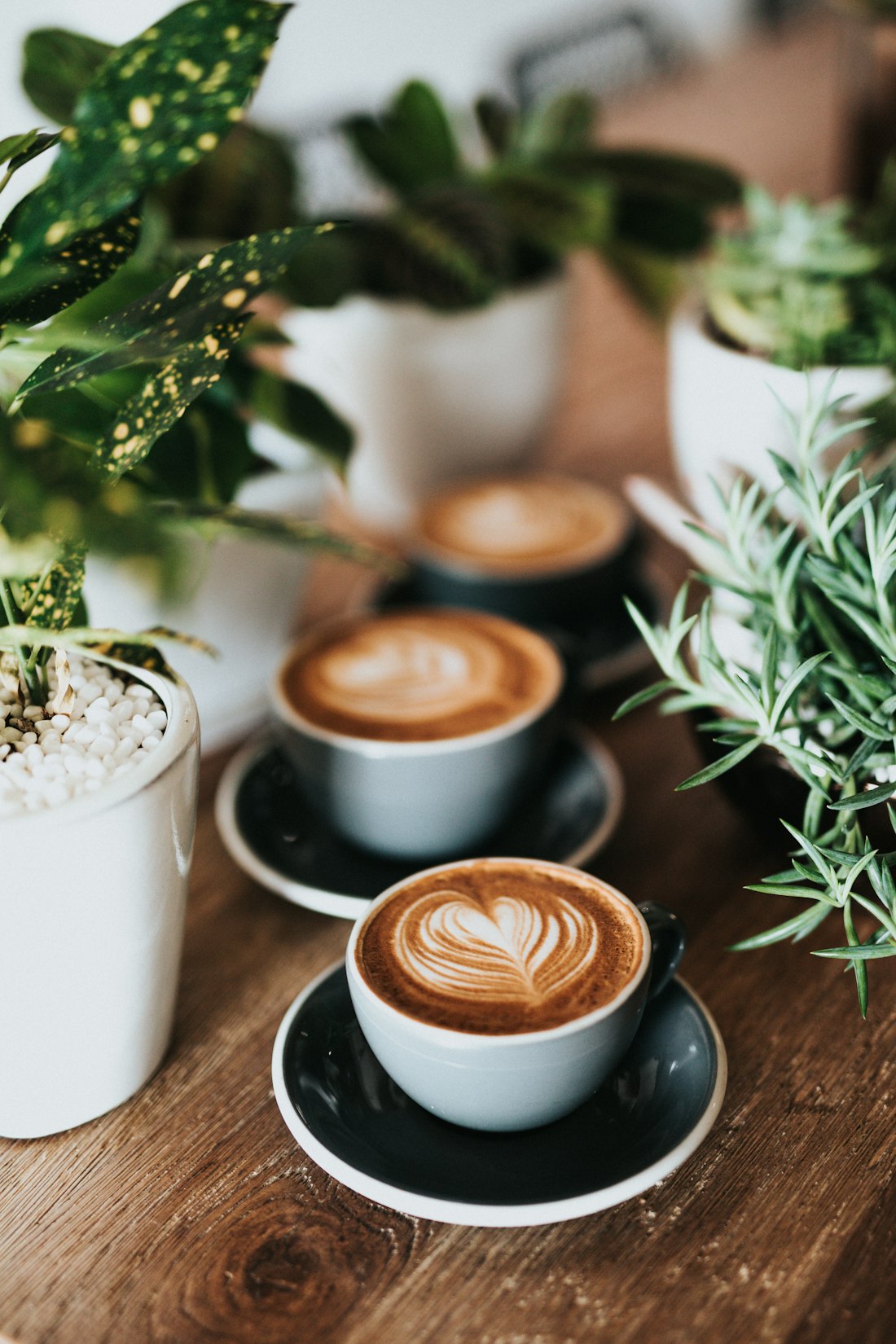 Cappuccino & Coffee