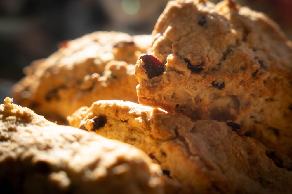 Fresh-baked scones, warm from the oven